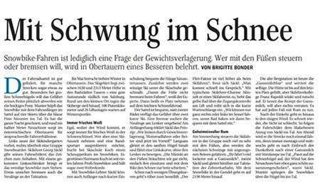 Pressebericht Mannheimer Morgen Januar 2015